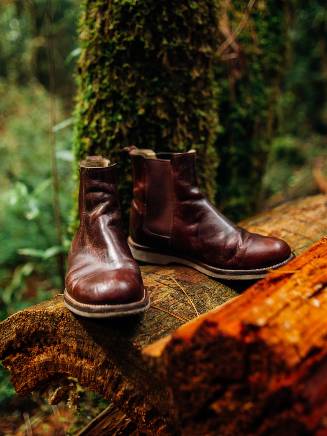 Boots on a log