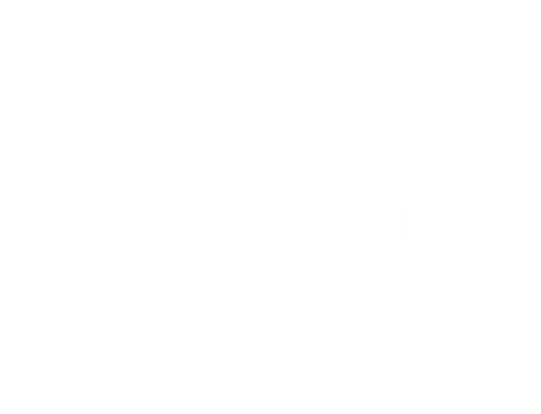 Bison illustration